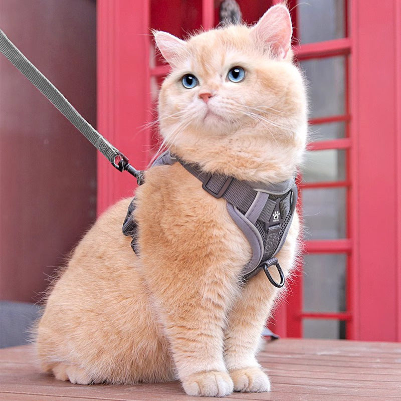 Jecuv Comfy Cat Harness