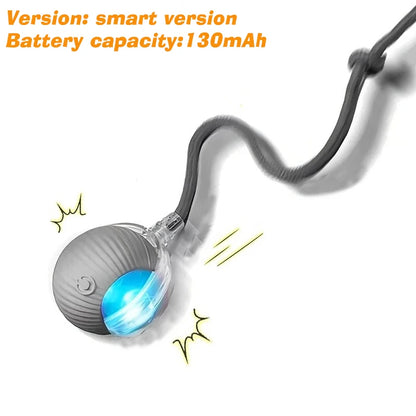 Jecuv Smart Rolling Cat Ball