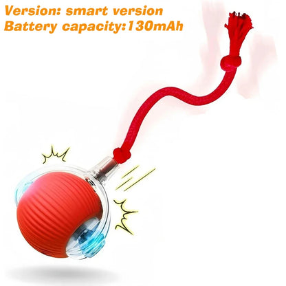 Jecuv Smart Rolling Cat Ball
