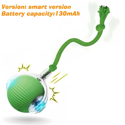 Jecuv Smart Rolling Cat Ball
