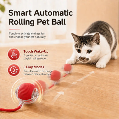 Jecuv Smart Rolling Cat Ball