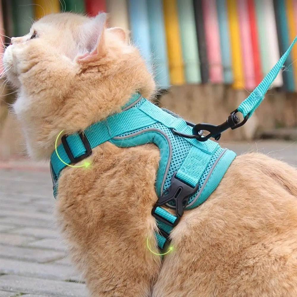 Jecuv Comfy Cat Harness
